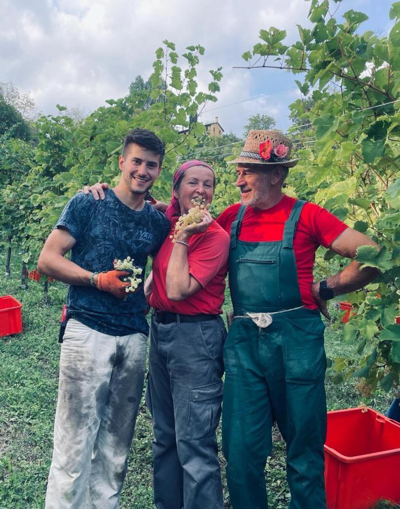 Agriturismo Le Noci Tarzo Exteriér fotografie