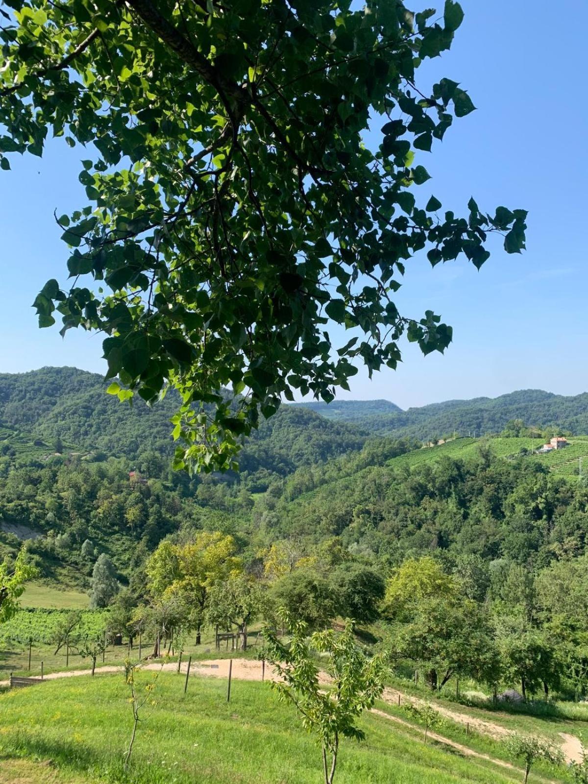 Agriturismo Le Noci Tarzo Exteriér fotografie