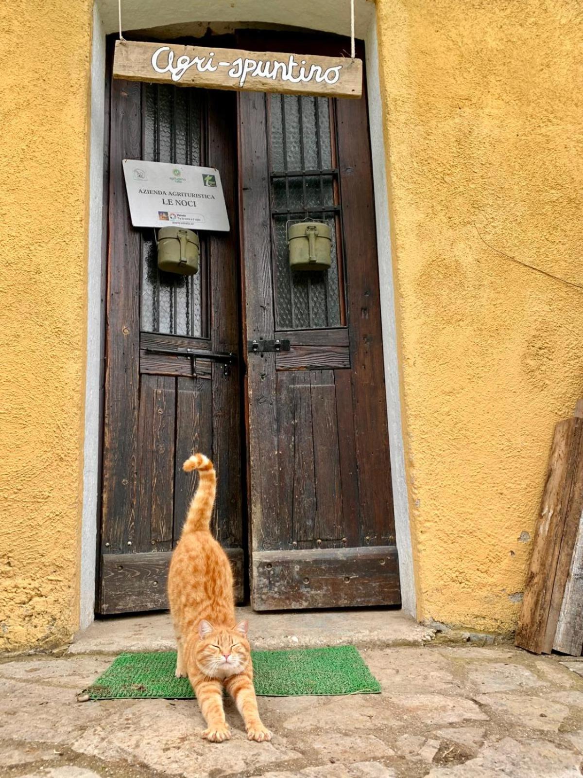 Agriturismo Le Noci Tarzo Exteriér fotografie